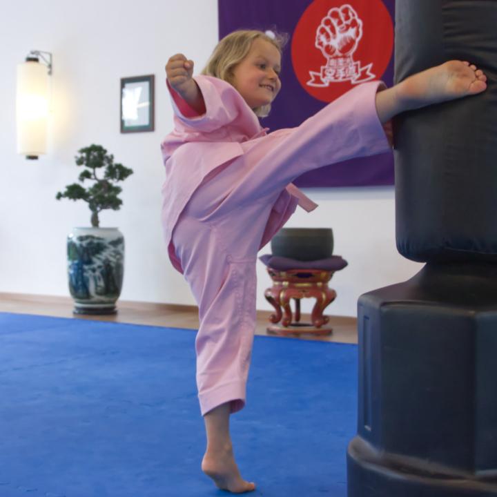 Bonsai Karate
